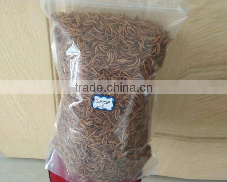 Pet Food Supplies Fish Food Mealworms Golden Yellow(2.8cm)