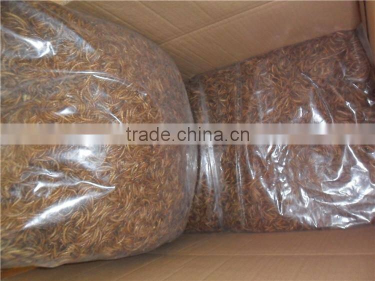 Top quality dried mealworm, KOI TASTIC / koi and pond fish food mealworm