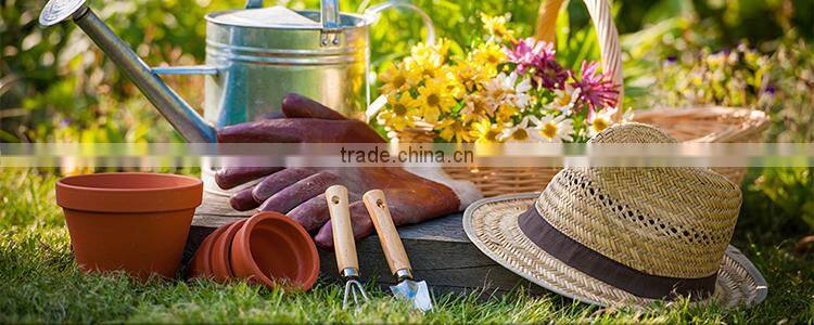 portable pressized pressure/ 8L garden hand pump manual Pressure Sprayer / Professional vehicle washing sprayer