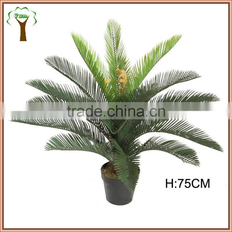 short plastic cycas palm tree bonsai export