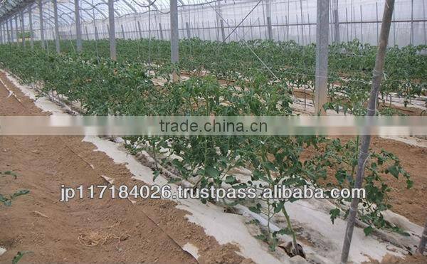 Easy to use and Hot-selling alibaba top sellers Kami Mulch for Fields for personal use