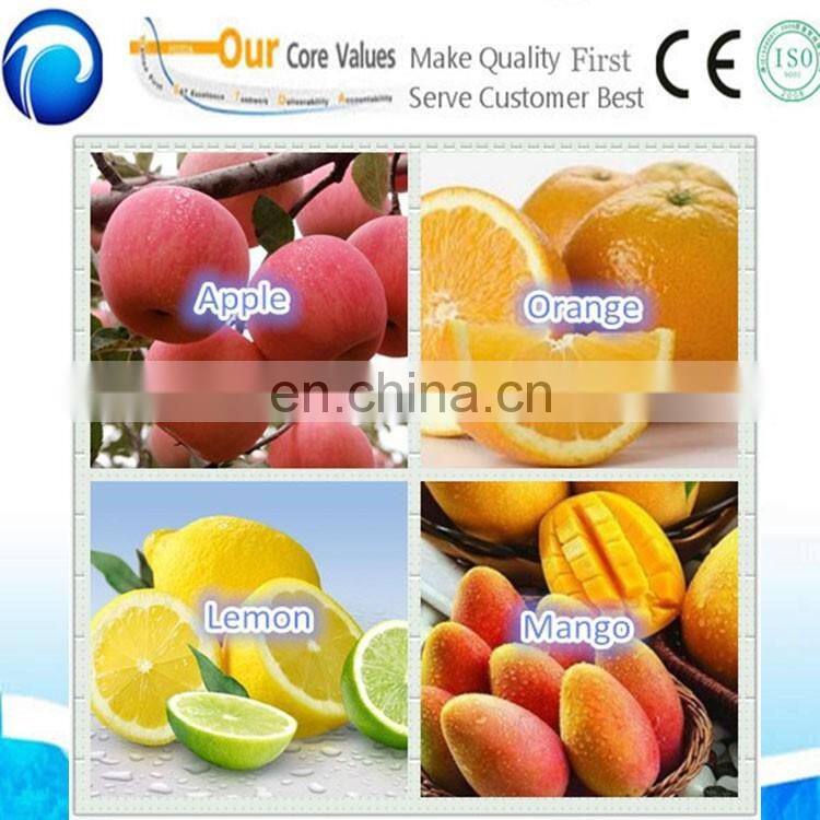 China Industrial fruit juicer machine fruit vegetable  juice extractor machine