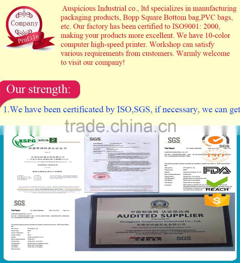 New Customized Plastic PVC Handle Bag from Pvc Bags Manufacturer