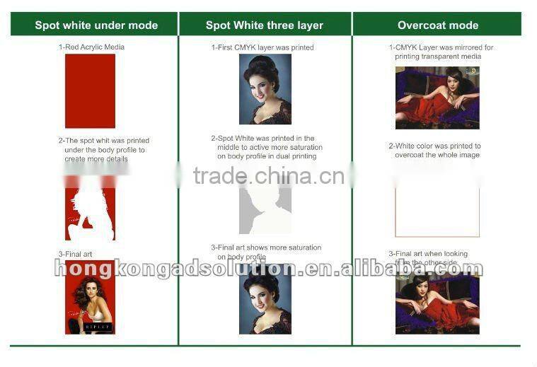 Flora UV hybrid flatbed and roll to roll printer PP2512UV Turbo with on 4 or 8 Konica 1024 print head