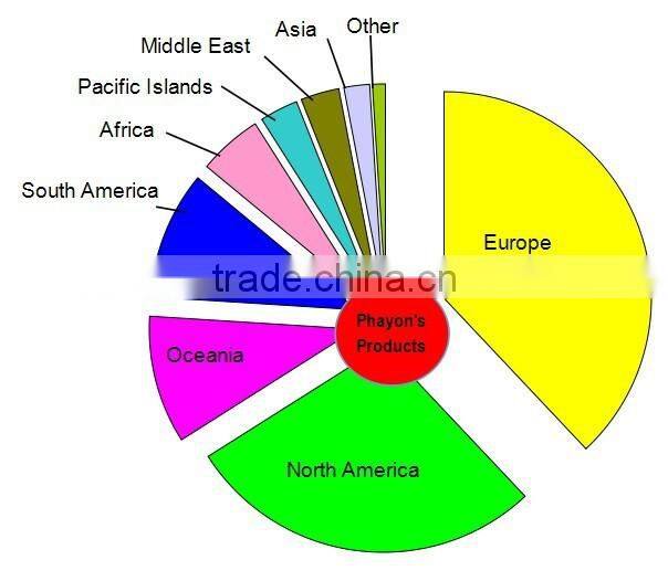 2014 Customized cartoon print boy's swim short , swim trunks ,boy board short