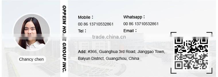 Affordable Modern Lacquer Kitchen Cabinet Professional Kitchen Cabinet Manufacturer