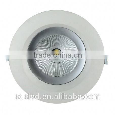 LED downlight Down Light 12W Warm White 1000lm COB downlight
