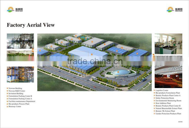 Alpha-Naphthyl Acetic Acid (NAA)