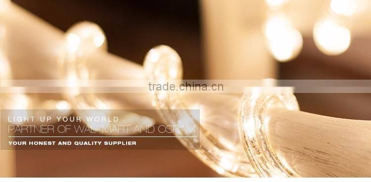 Hot sales 220V Crystal Blue LED Rope Light