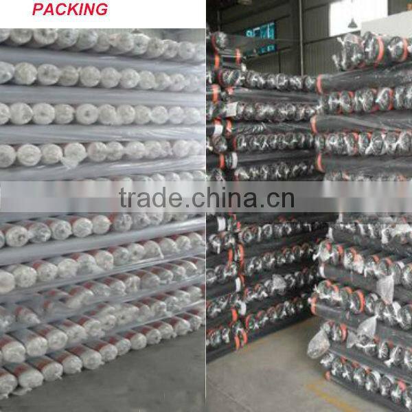 Bright warp knitted fabric for sportswear