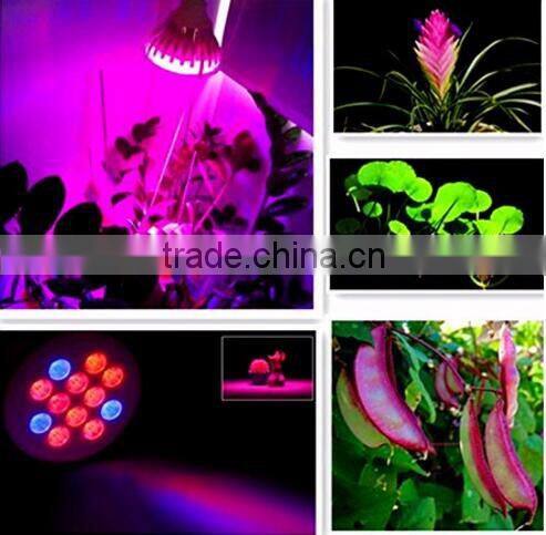 3W E27 2Red 1Blue LED Grow Light Bulb Energy Saving Flower Plant Hydroponics Indoor Vegetable Greenhouse Grow Lamp AC85-265V