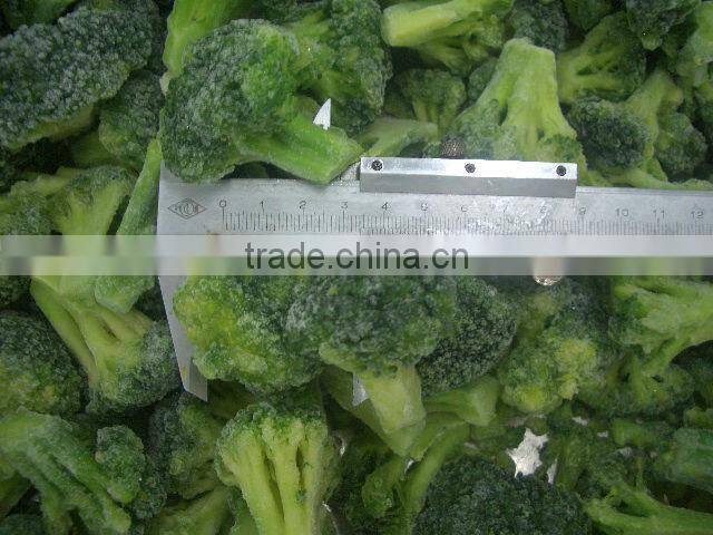 shandong fresh frozen broccoli florets