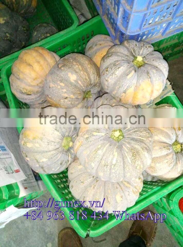 FRESH PUMPKIN +84963818434 whatsapp