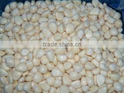 IQF peeled garlic for sale / frozen garlic for export