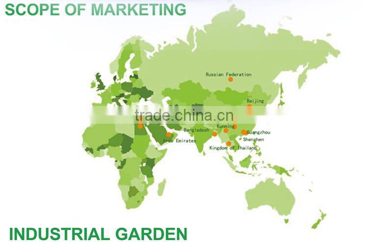 2016 Huaniu apple Fresh apple China Gansu Tianshui Huaniu apple