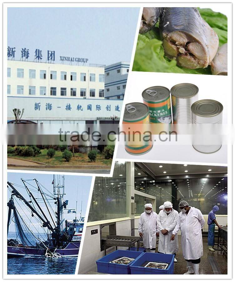 XINHAI deap sea wild mackerel canning fish wholesale