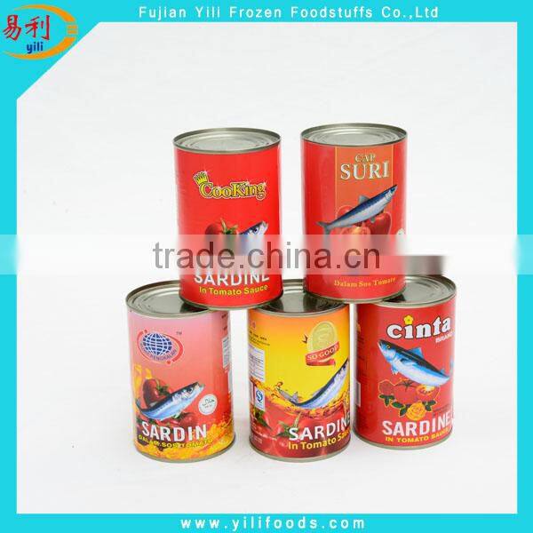Canned sardine from morocco