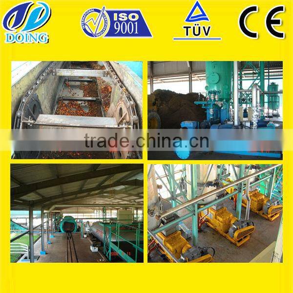 New design palm mini oil mill with lattest technology ISO & CE & BV