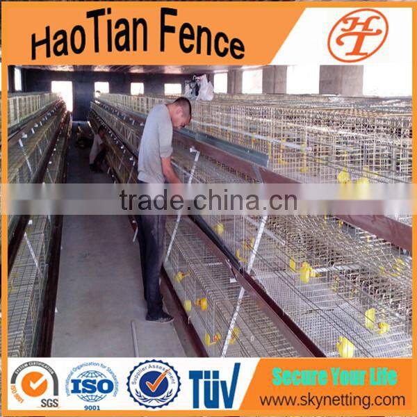 design chicken egg cage for layers for poultry farm bird cage for kenya farms