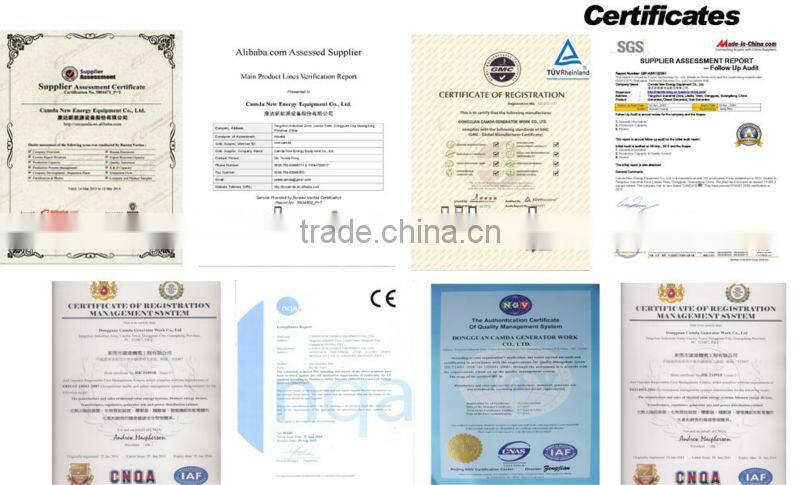 Camda Doosan Daewoo gas generator set 300KW/ gas power plant/MW natural gas genset