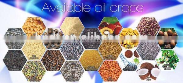 CE BV ISO guarantee small complete production lines