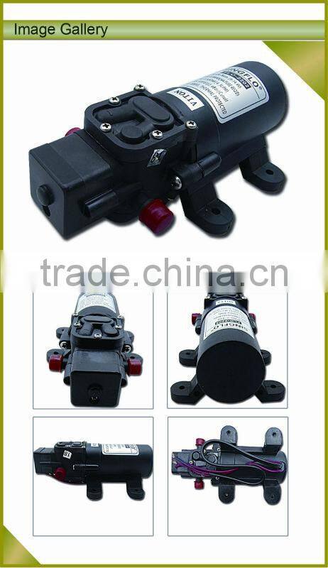 Singflo electric water pump motor winding/12v submersible electric motor/waterproof submersible electric motors