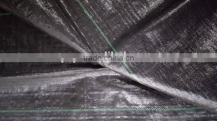 PP ground cover,weed barrier Fabrics, weed mat in strawberry garden