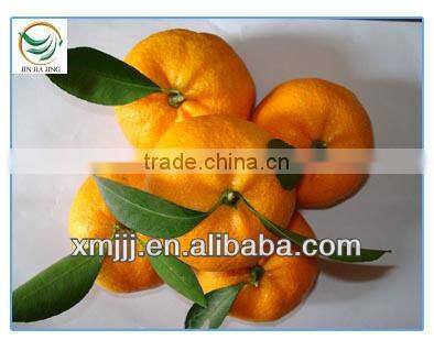 Very Sweet Small Size Orange Honey Baby Orange