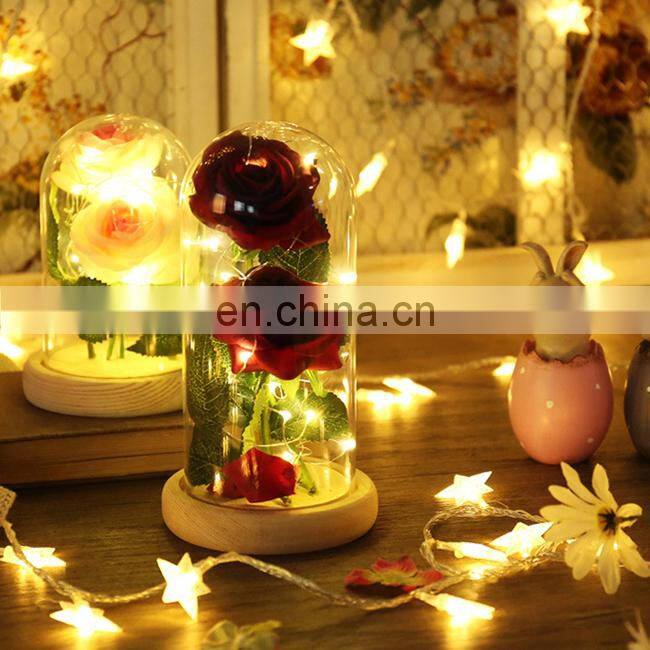 Factory Direct Supply Preserved Rose Flowers in Glass with Led