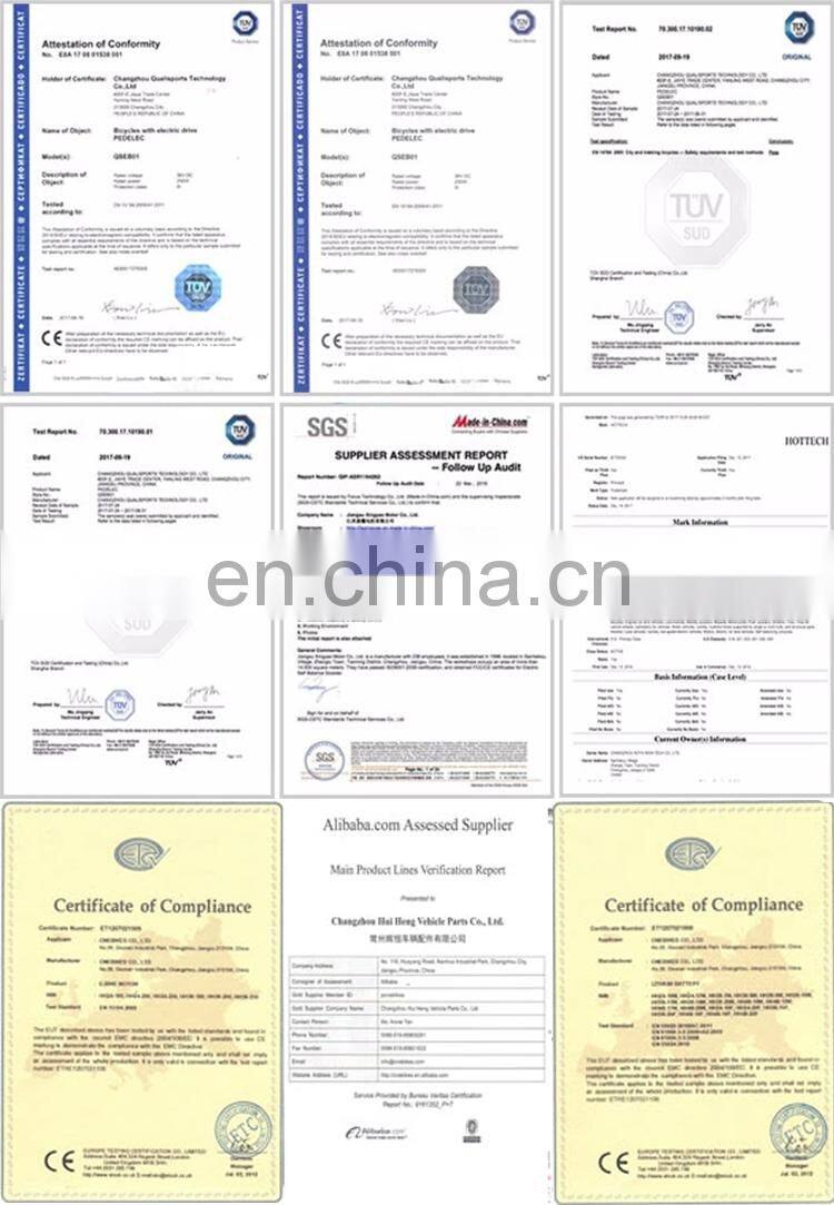 Customizable Electric Long Range Maximum 100KM Mountain Bike with LCD Display 100-240V Smart E-bicycle BEBFR26DM