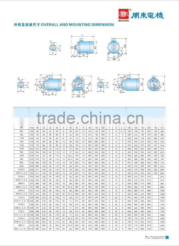 MINDONG three-phase electric motor
