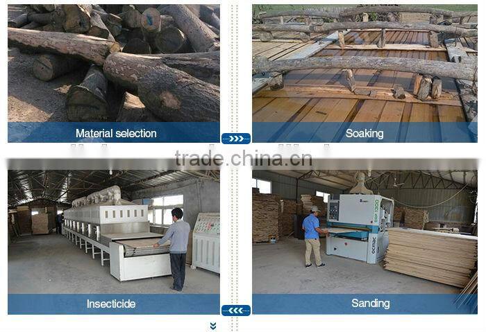 factory supply high quality good surface delicate paulownia panel