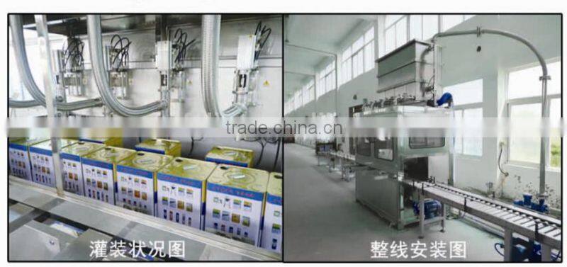 25L Automatic Strong Acid liquid Filling Machine