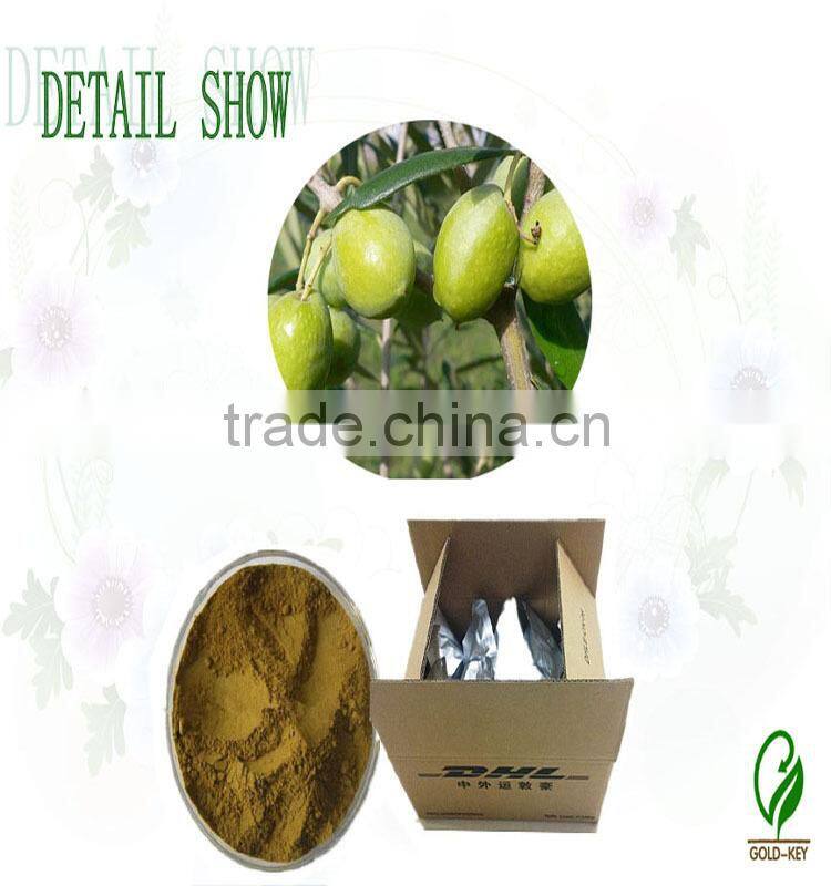Hot Selling Olive Leaf Extract in Herbal Extract