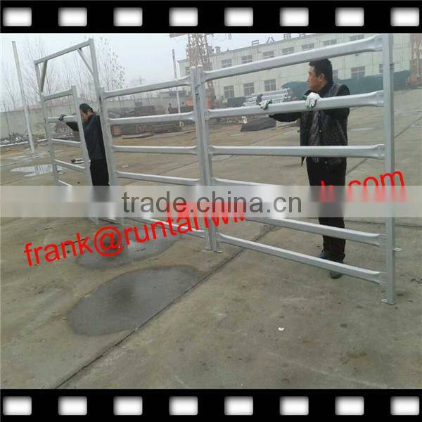 Anping hot dipped galvanized horse fence panel (ISO9001,CE,Factory)