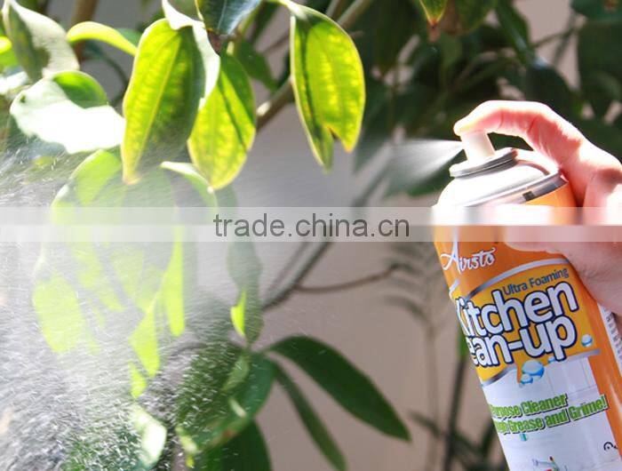 12 OZ Ultra Foaming Kitchen Cleaning