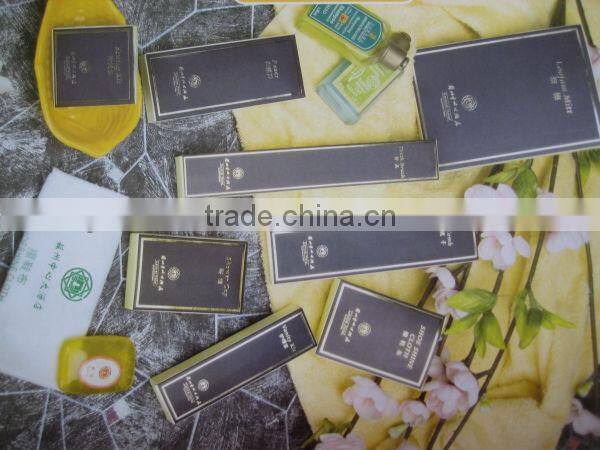 High quality hotel amenities/hotel supplies/amenity kit