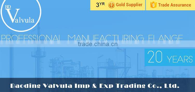 DIN Welding Neck carbon Steel forged Flange supplier