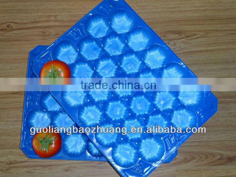 24/25/26/27 Holes Fruit Punnet