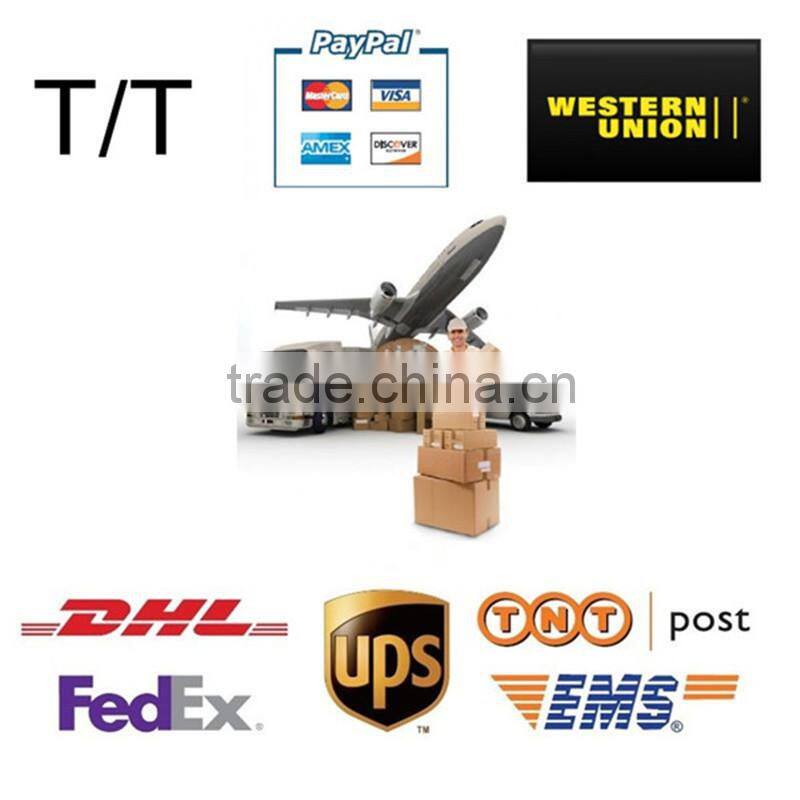 WIFI alarm IP camera fire alarm built-in siren