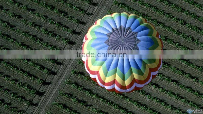 2015 the hot sell air balloon prices / advertising balloon made in china