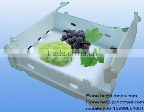 corflute pp advertising board for outdoor use