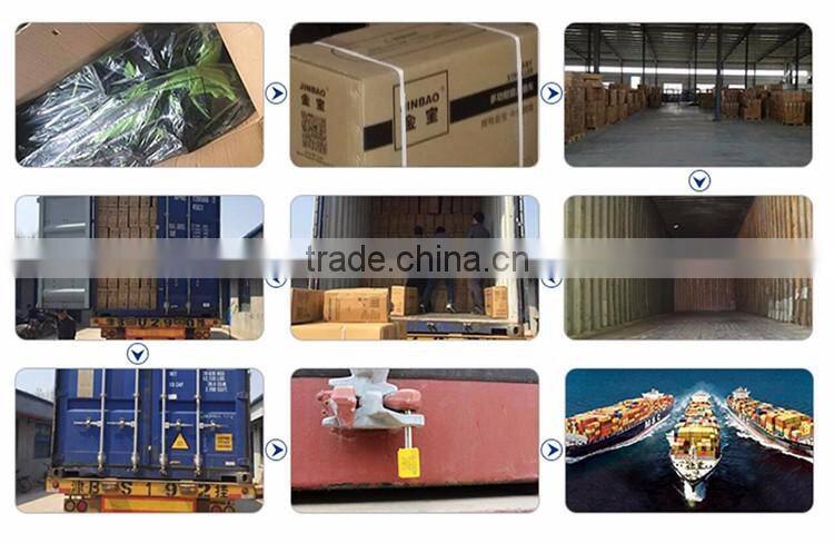 Stainless Steel Frame Best Double Trolley with EN1888 Certificate