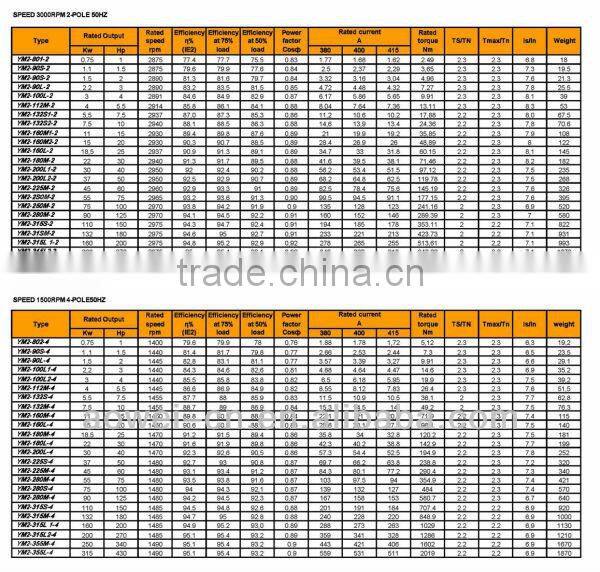 230V/400V Motor Electric