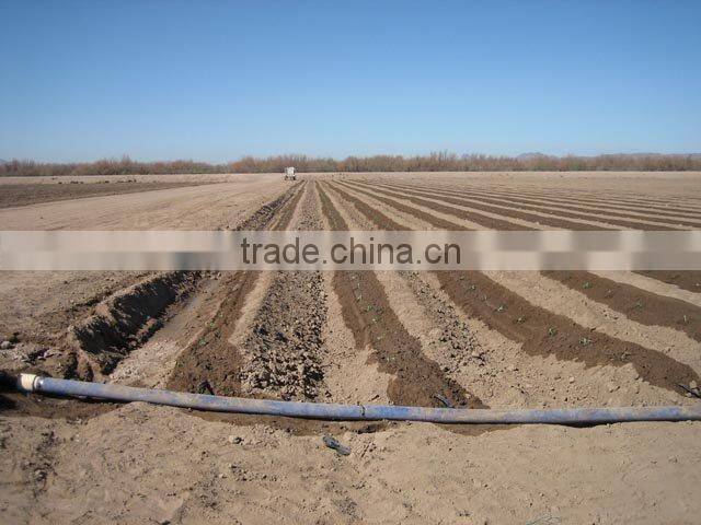 Irrigation Hose