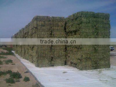 15' x 54' Dry Top Super Heavy Duty Silver/Black 12-mil Hay Tarp,15' x 54' Hay Tarp - Silver Black Poly