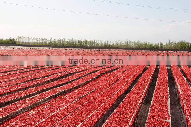 Wholesale Sulfur Sun Dried Tomatoes