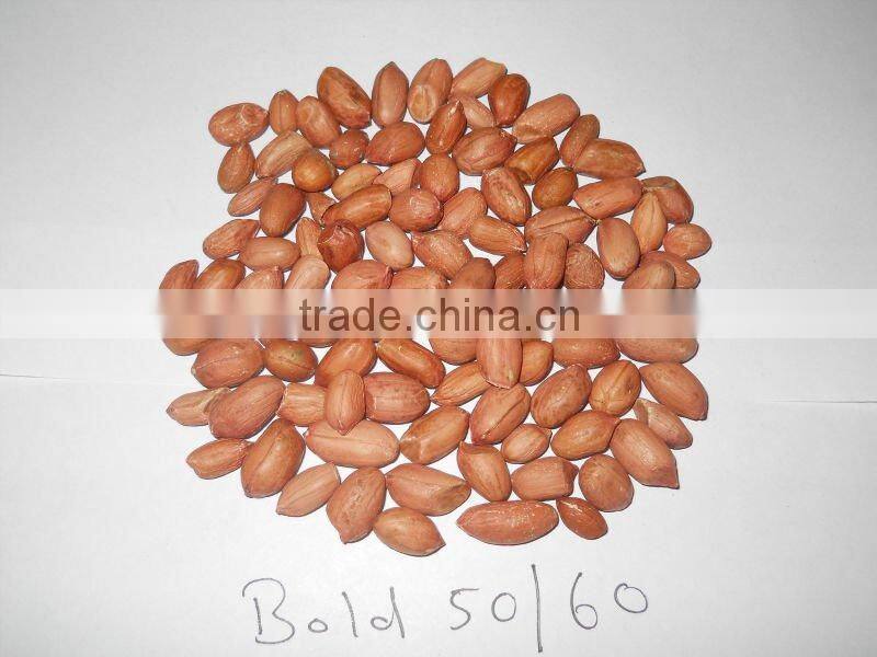 INDIAN QUALITY BOLD GROUNDNUT KERNEL 50/60