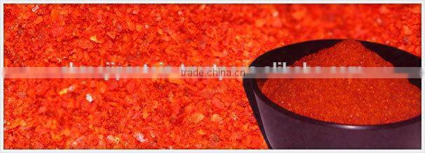 EXPORT QUALITY BEST RED CHILI POWDER FOR SUPPLY