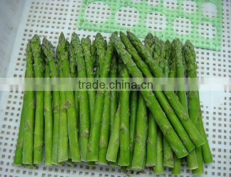IQF Frozen green asparagus fresh material from sunnywellfoods